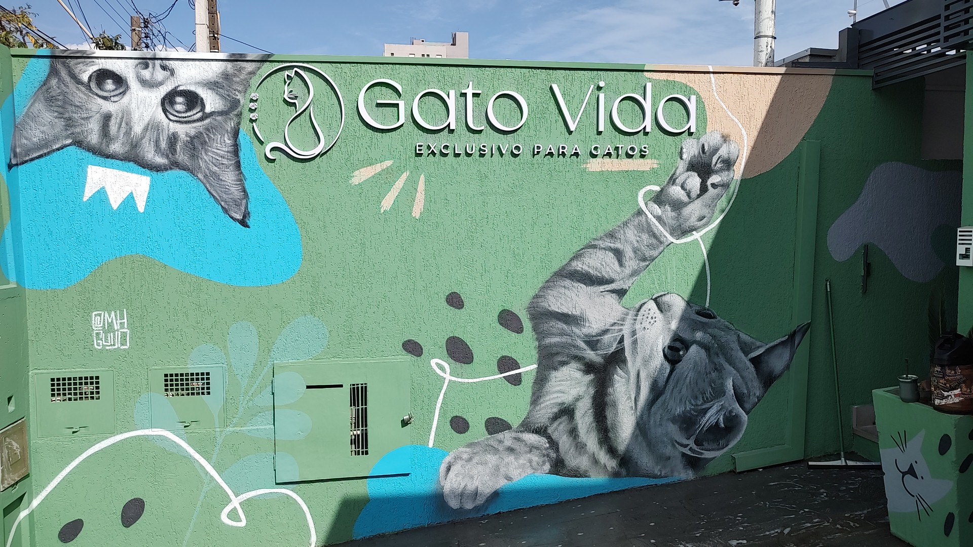 Entrada da Clínica Gato Vida em Marília-SP