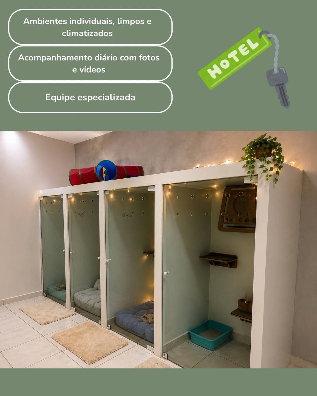 Suítes individuais do hotel felino da Gato Vida